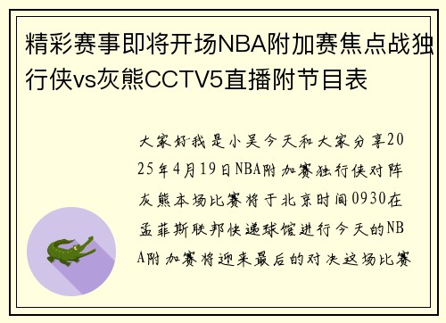 精彩赛事即将开场NBA附加赛焦点战独行侠vs灰熊CCTV5直播附节目表